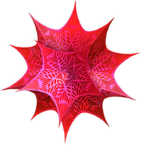 Wolfram-Mathematica-ZDescargas